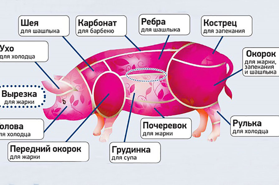Уровень свиньи. Карбонат свиной часть свиньи. Что такое карбонат свиной схема. Части поросенка. Название частей мяса свинины.